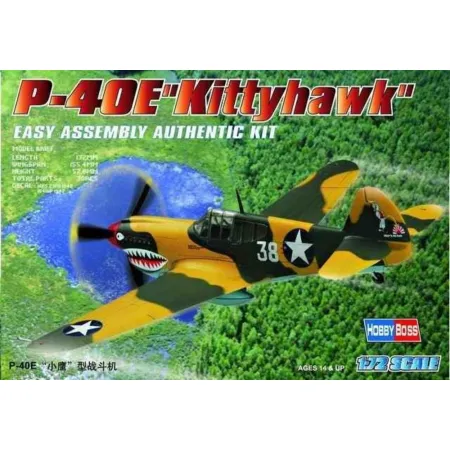 HOBBY BOSS 80250 P-40E Kittyhawk - 1:72