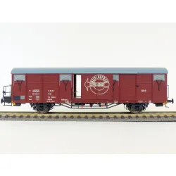 EXACT-TRAIN EX20701 DR Expresswagen Gbqrss[1742] 21 MC RIV 50 DR 174 2594-7, 7 Sicken, Tür mit Verstärkung, Epoche Ivb (Zu öffnenden Türen)