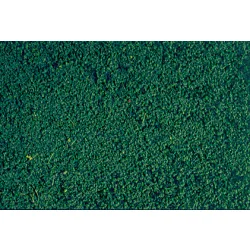 HEKI 1603 HEKI Mikroflor zieleń sosny 28x14 cm
