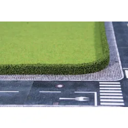 HEKI 1757 Żywopłot tuje 25 x 7 mm, 2 szt.