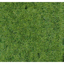 HEKI 1871 Trawa runo leśne 40x24 cm, 2 szt.