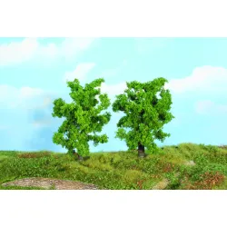 HEKI 19101 Dzika grusza 14 cm, 2 szt.