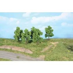HEKI 19111 Drzewa owocowe 7 cm, 5 szt.