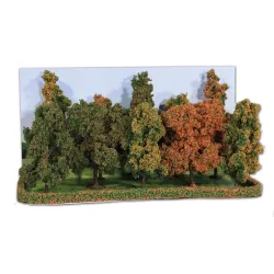 HEKI 2000 Drzewa liściaste jesienne 10-14 cm, 10 szt.