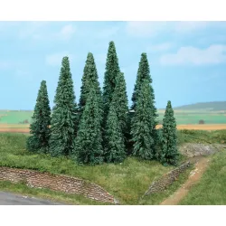 HEKI 2235 Jodła srebrzysta 9-14 cm, 10 szt.