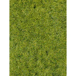 HEKI 3369 Trawa elektrostatyczna 6 mm, ciemnozielona 75 g