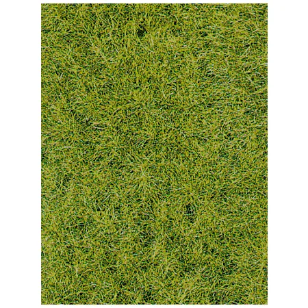 HEKI 1576 Trawa siateczka leśna zieleń 28x14 cm