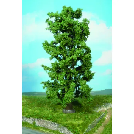 HEKI 1742 Klon skalny 30 cm, 1 szt.