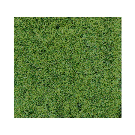 HEKI 1871 Trawa runo leśne 40x24 cm, 2 szt.