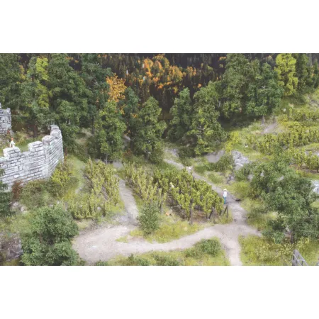 HEKI 19136 Winorośl 2,5 cm, 36 szt.