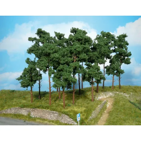 HEKI 1954 Sosna 20 cm, 5 szt.