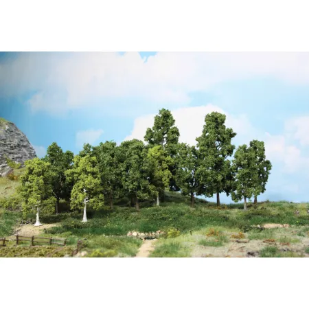 HEKI 1991 Drzewa liściaste 10-18 cm, 15 szt.