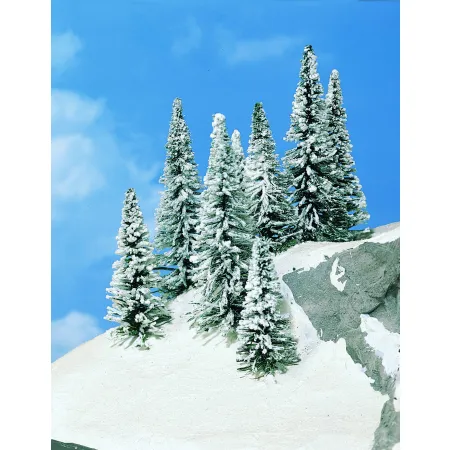 HEKI 2161 Jodła ośnieżona 7-12 cm, 8 szt.